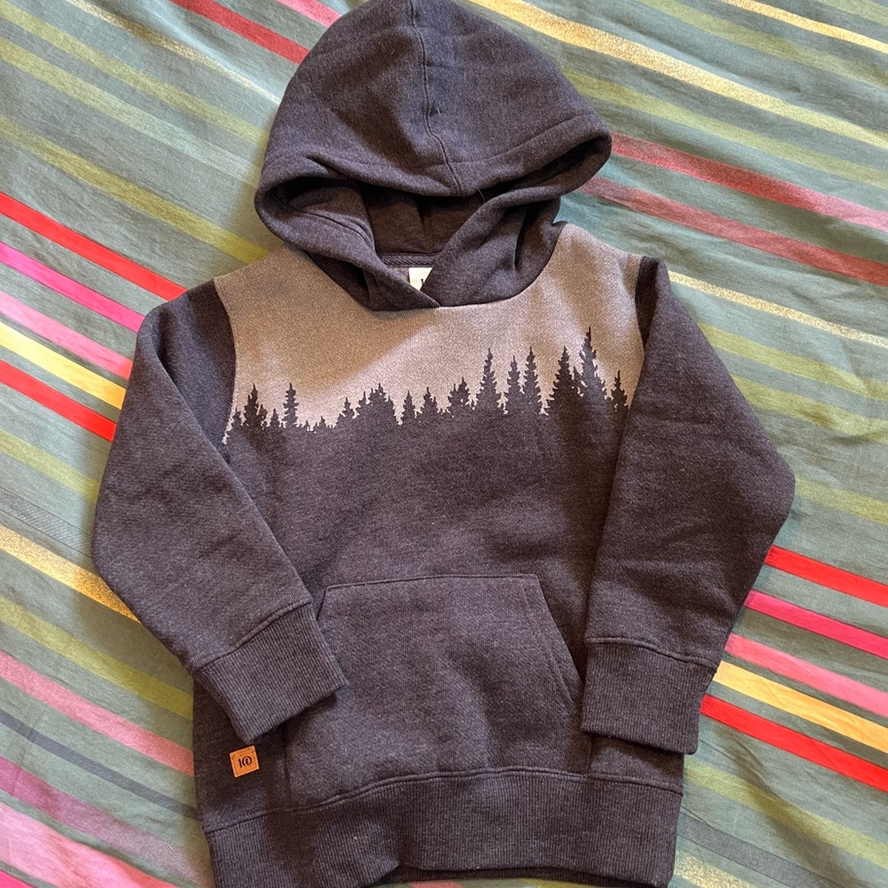 tentree Kids Hoodie in Charcoal Gray with Forest Design